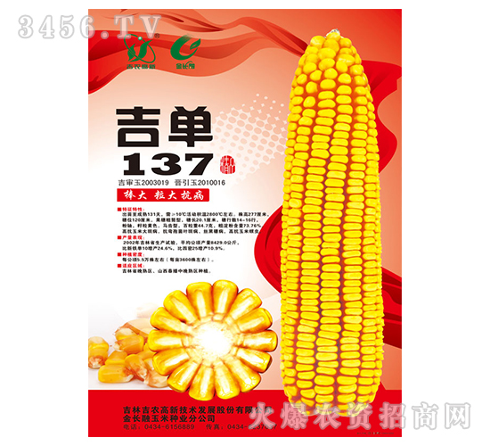 吉單137（玉米種子）-吉農(nóng)