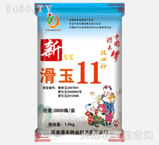 滑玉11（玉米種子）-滑豐