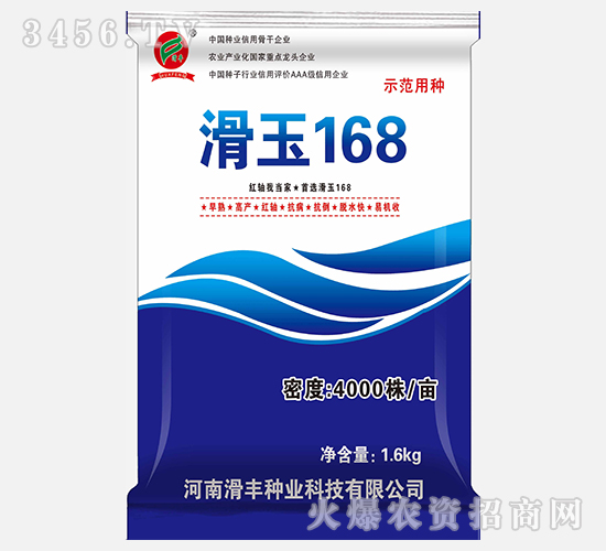 滑玉168（玉米種子）-滑豐