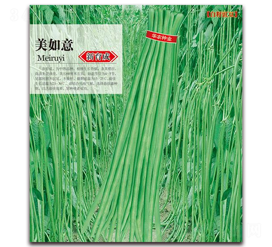 美如意-豇豆種子-華農(nóng)種業(yè)