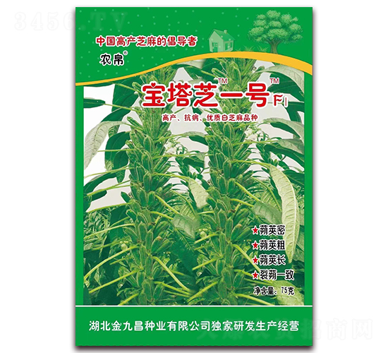 寶塔芝一號-白芝麻種子-金九昌