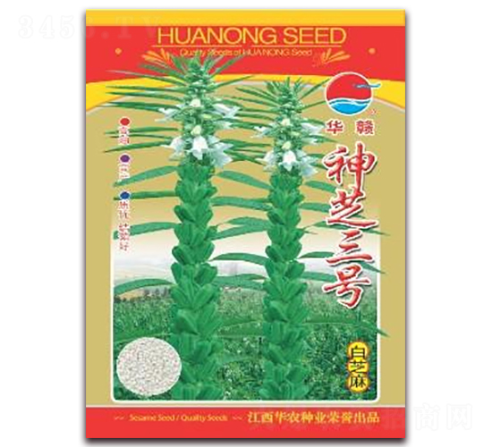 神芝三號(hào)-白芝麻種子-華農(nóng)種業(yè)