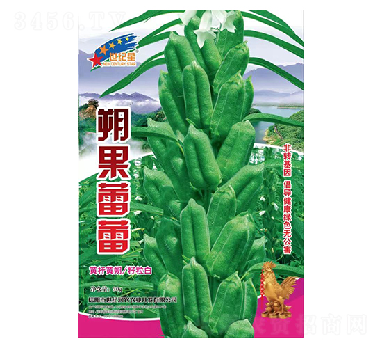 朔果蕾蕾-芝麻種子-華一種業(yè)