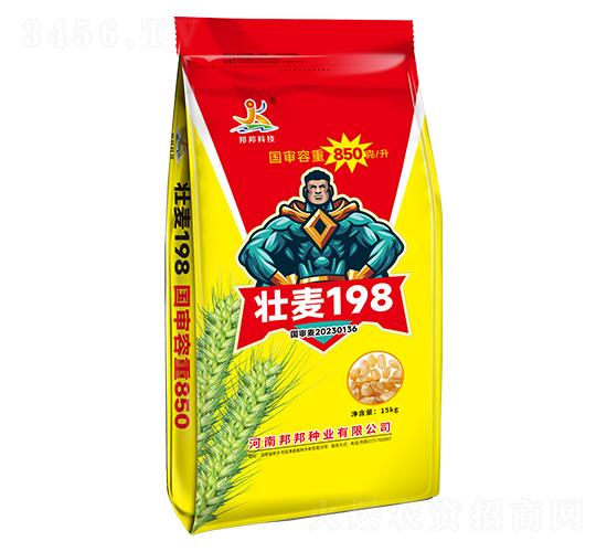 壯麥198-小麥種子-邦邦科技