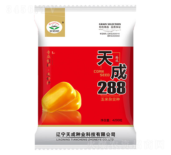 玉米種子-天成288-農(nóng)哈哈-天成種業(yè)