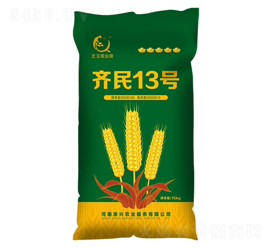 小麥種子-齊民13號-上之品