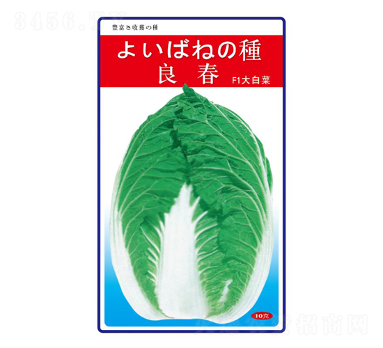 良春F1大白菜-德利田豐農(nóng)業(yè)