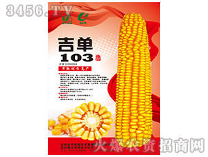 吉單103（玉米種子）-吉農(nóng)