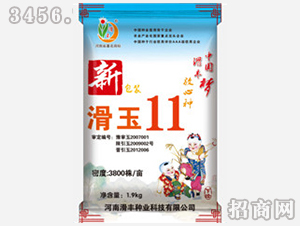 滑玉11（玉米種子）-滑豐