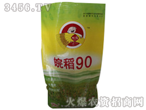 晚稻90（小麥種子）-皖農(nóng)種業(yè)