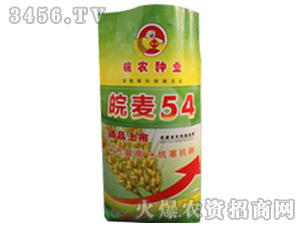 皖麥54（小麥種子）-皖農(nóng)種業(yè)