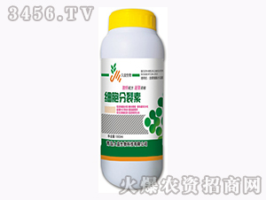 1000ml含腐植酸水溶肥料-細胞分裂素-久益生物