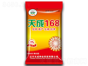 天成168-玉米種子-天成種業(yè)