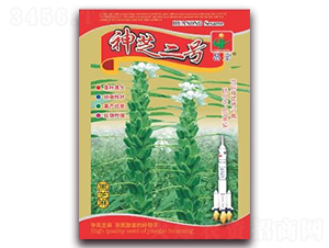 神芝二號-黑芝麻種子-華農(nóng)種業(yè)