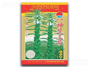 神芝三號(hào)-白芝麻種子-華農(nóng)種業(yè)