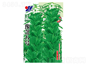 豫芝八號-芝麻種子-邢源農(nóng)業(yè)