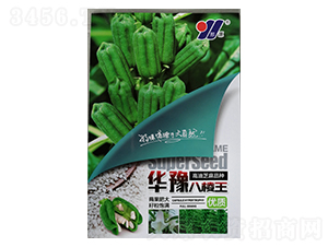 優(yōu)質(zhì)華豫八棱王-芝麻種子-邢源農(nóng)業(yè)