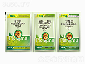 甘藍(lán)型油菜專用苗后除草劑-油菜農(nóng)母-金爾農(nóng)化