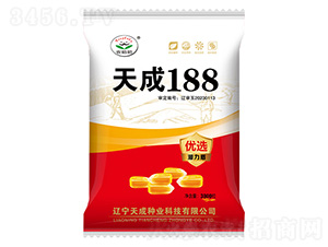 玉米種子-天成188-農(nóng)哈哈-天成種業(yè)