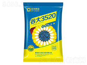 谷大3520-玉米種子-正大種業(yè)