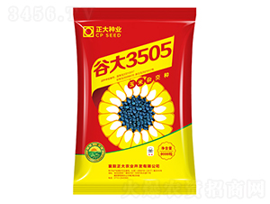 谷大3505-玉米種子-正大種業(yè)