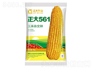 正大561-玉米種子-正大種業(yè)