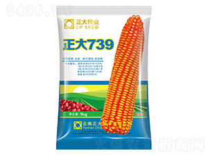 正大739-玉米種子-正大種業(yè)